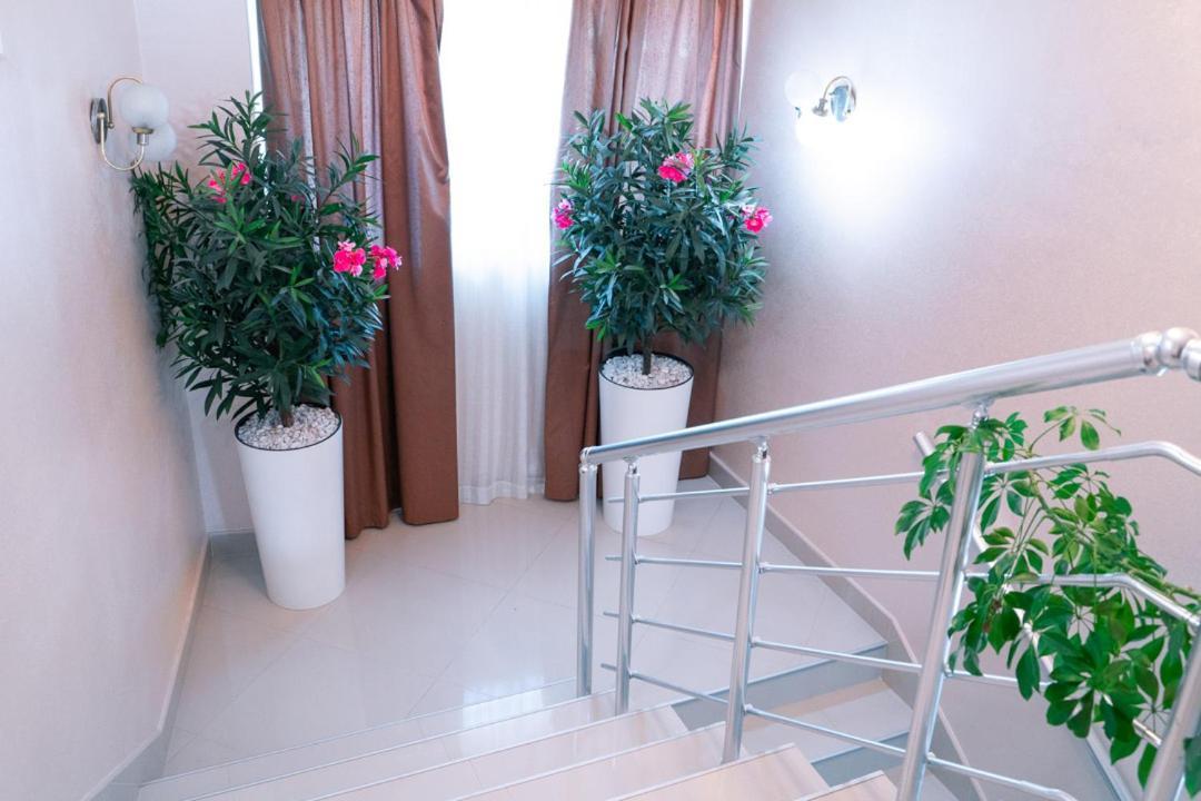 Hotel Zeleni Vir Ni المظهر الخارجي الصورة